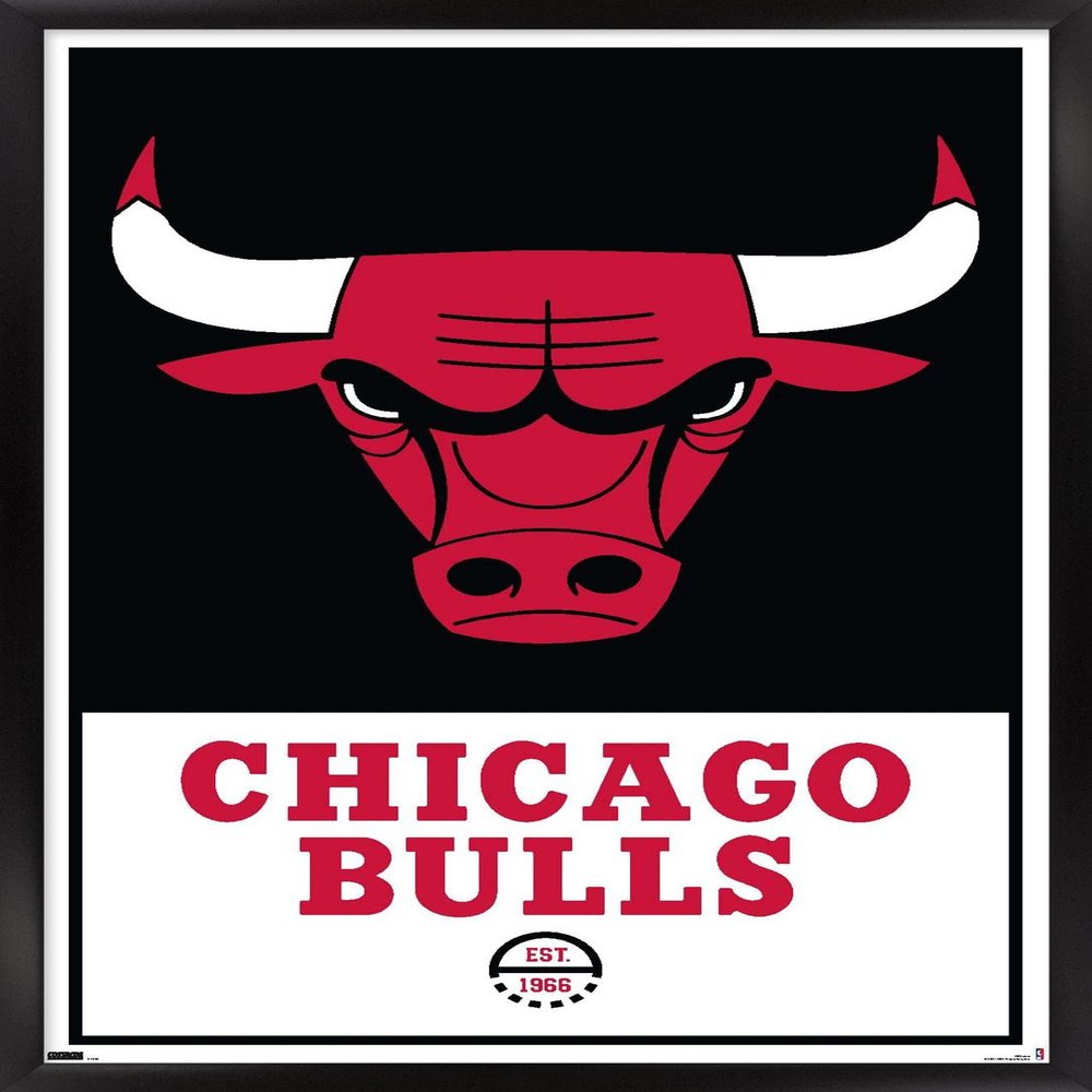 Trends International NBA Chicago Bulls - Logo 21 Wall Poster, 22.375" x 34", Black Framed Version
