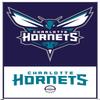 NBA Charlotte Hornets - Logo 21 Wall Poster with Pushpins view 4