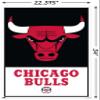 NBA Chicago Bulls - Logo 21 Wall Poster with Push Pins view 3