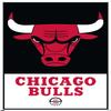 NBA Chicago Bulls - Logo 21 Wall Poster with Push Pins view 4
