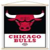 Trends International NBA Chicago Bulls - Logo 21 Wall Poster, 22.375" x 34", Premium Print and Beechwood Hanger Bundle view 1