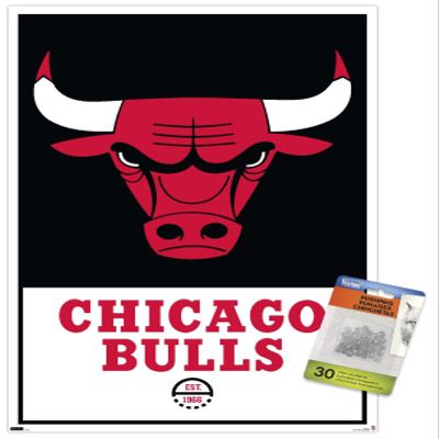 NBA Chicago Bulls - Logo 21 Wall Poster with Push Pins