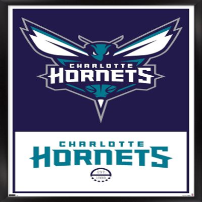 Trends International NBA Charlotte Hornets - Logo 21 Wall Poster, 22.375" x 34", Black Framed Version