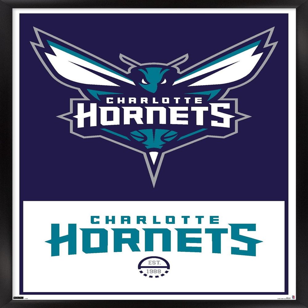 Trends International NBA Charlotte Hornets - Logo 21 Wall Poster, 22.375" x 34", Black Framed Version