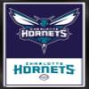 Trends International NBA Charlotte Hornets - Logo 21 Wall Poster, 22.375" x 34", Black Framed Version view 1