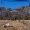 ANYTHING SPORTS Full Batting Cage. Perfect Baseball Batting Cage, Softball Batting Cage, Complete Package with Frame and Netting (60 Feet) view 2