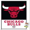 NBA Chicago Bulls - Logo 21 Wall Poster with Pushpins view 1