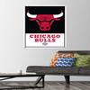 NBA Chicago Bulls - Logo 21 Wall Poster with Pushpins view 2