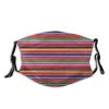 Niqqzit Serape Rainbow Stripes Mexican Pattern Mask with Filter Breathable Face Mask Washable Balaclava Bandana Mouth Cover with Adjustable Ear Loops