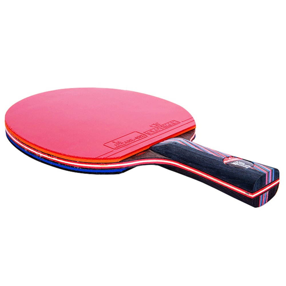 LINGOSHUN Carbon Ping Pong Paddle,Performance-Level Table Tennis Racket with ITTF Approved Rubber for Tournament Play / 1 Pack/Long Handle