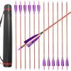 ZSHJGJR 30 Inch Archery Carbon Arrows Bamboo Pattern Shaft 500 Pine Practice Hunting Arrows with Removable Arrow Tips for Hunting Target Shooting 6/12pcs (12pcs + Arrow Quiver Tube) view 1
