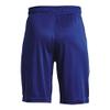 Under Armour Boys Prototype 2.0 Logo Shorts, (456) Bauhaus Blue / / Black, Youth Small view 2