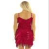 Yihuimin Women's Sequins Tassel Latin Dance Dress 1920s Ballroom Samba Rumba Salsa High Low Dresses Red One Size view 4