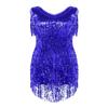 Aislor Women Latin Dance Dress Sequin Tassel Fringe Flapper Dress Tango Ballroom Dancing Costume Royal Blue X-Large view 4
