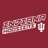 AS1343 - Indiana Hoosiers Warrior Slant T Shirt - 2X-Large - Cardinal view 2