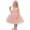 0-6Y Toddler Party Dresses Baby Girl Pageant Lace Dress Toddler Party Bowknot Tutu Gown Dress with Headwear (Pink, 6-12 Months) view 1