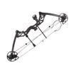 AMEYXGS Archery Compound Bow and Arrows Set 30-70lbs Hunting Bow Competition Practice Bow Max Speed 320 fps Adult Archery Shooting Set-Right Hand view 2