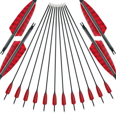 30/31 Inch Carbon Arrow Spine 400 500 600 Natural Turkey Feather Competition Target Practice Hunting Arrow for Traditional Long Recurve Bow and Compound Bow 12Pcs (30 Inch,Spine 600)