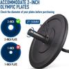 OKUGAFIT 47" Olympic EZ Curl Bar for 2-inch Plates - Ez Bar - Ez Barbell Curl Bar for Weight Lifting Bicep,Hip Thrusts,Squat, with 2 Spring Collars view 3