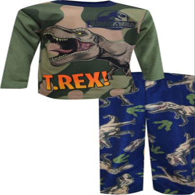 Centric Brands Boys Jurassic World T-Rex Fleece Pajama (4) Blue