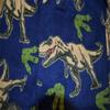 Centric Brands Boys Jurassic World T-Rex Fleece Pajama (4) Blue view 2