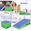 BLKMTY Folding Gymnastics Mat, 48" x 24" Incline Mats Tumbling Cheese Wedge Mat Kids Cheese Pad Indoor/Outdoor Exercise Yoga Mats for Home Gym with Non-Slip Pvc Surface and Handle, Blue view 2
