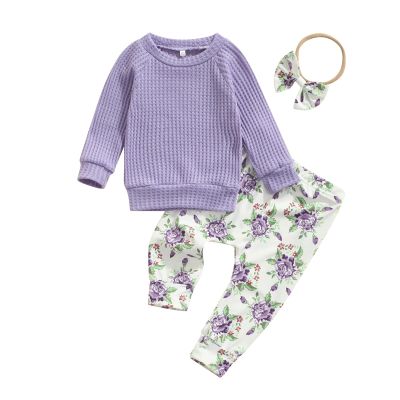 0-3T Fall Baby Girl Clothes Set Avocado Pullover Sweatshirts Tops Floral Pants Outfits Cute Toddler Clothes (Purple D, 0-6 Months)