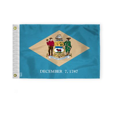 AGAS Small Delaware State Boat Flag 12x18 Inch - Single Ply Reverse Print on Back 200D Nylon 100% Bleed Through - Brass Grommets Fade Proof Vivid Colors - State of Delaware Nautical Flag for Boat or Car