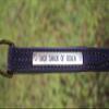 Tack Shack Leather Lead, Single ply, snap or 30 inch Chain, Lead Rope, Lead line, Quality Leather Lead, Brass Plate, Custom Lead Rope. (Brown and Brass Leather Lead with 30 Inch Shank) view 3