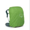 Osprey Viva 45L Women's Backpacking Backpack, Succulent Green view 3