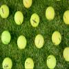 48-Pack Clean Green Recycled Yellow Golf Balls - Neon Colored - Used Good Condition - Includes Mesh Carry Bag - Cheap Golf Balls for Men and Women view 4
