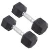 Body Sport Rubber Encased Hex Dumbbell Weight, 15 lb. (Pair) - Chrome, Anti-Slip Grip for Strength Training - Home Gym & Fitness Equipment view 1