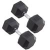 Body Sport Rubber Encased Hex Dumbbell Weight, 55 lb. (Pair) - Chrome, Anti-Slip Grip for Strength Training - Home Gym & Fitness Equipment view 1