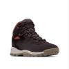 Columbia Women's Newton Ridge Plus Waterproof Amped, Timber/Cinder, 5.5 view 1
