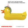 Airhead Punk Duck Inflatable Pool Float Large view 3