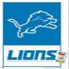 Trends International NFL Detroit Lions - Logo 21 Wall Poster, 22.37" x 34.00", Poster & Push Pin Bundle view 1
