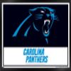 Trends International NFL Carolina Panthers - Logo 21 Wall Poster, 22.4L x 14.7W, Black Framed Version view 1