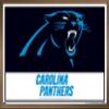 Trends International NFL Carolina Panthers - Logo 21 Wall Poster, 22.4L x 14.7W, Bronze Framed Version view 1
