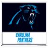 Trends International NFL Carolina Panthers - Logo 21 Wall Poster, 22.4L x 14.7W, White Framed Version view 1