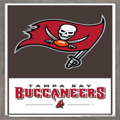 Trends International NFL Tampa Bay Buccaneers - Logo 21 Wall Poster, 34L x 22.4W, Barnwood Framed Version
