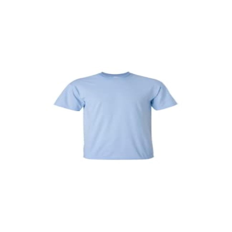 Gildan Blank Tee G2000(Light Blue)