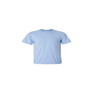 Gildan Blank Tee G2000(Light Blue)