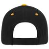 Ashen Fane 6 Panel Low Profile Brushed Bull Denim Hat, Blk Blk Gld view 2