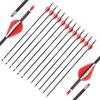 12pc Custom Length Carbon Arrows for 15-70 Lb Recurve Bow ID 5.2mm .204" 22-31 Inch Spine 300 350 400 500 600 700 Target Practice & Hunting Arrow Adult Youth Shooting view 1
