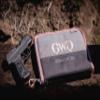Allen Company Girls With Guns 9-Inch Lockable Roses Are Gold Handgun Case view 2