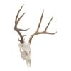 Allen Company Steel Trophy Wall Hook, 1/8" Thick, Works with Deer Skulls, Hats, Coats, & Gear, 2-Hooks Per Pack, Black view 1