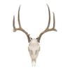 Allen Company Steel Trophy Wall Hook, 1/8" Thick, Works with Deer Skulls, Hats, Coats, & Gear, 2-Hooks Per Pack, Black view 2