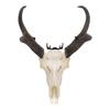 Allen Company Steel Trophy Wall Hook, 1/8" Thick, Works with Deer Skulls, Hats, Coats, & Gear, 2-Hooks Per Pack, Black view 4