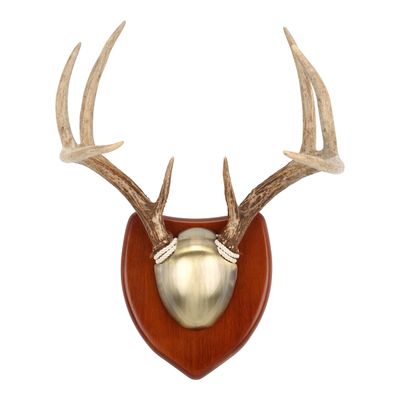 Allen Company EZ Horn Mounting Kit with Hardwood Plaque