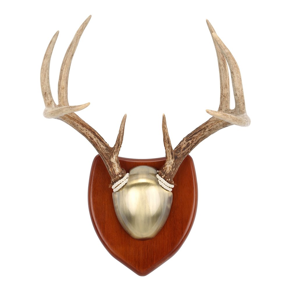 Allen Company EZ Horn Mounting Kit with Hardwood Plaque